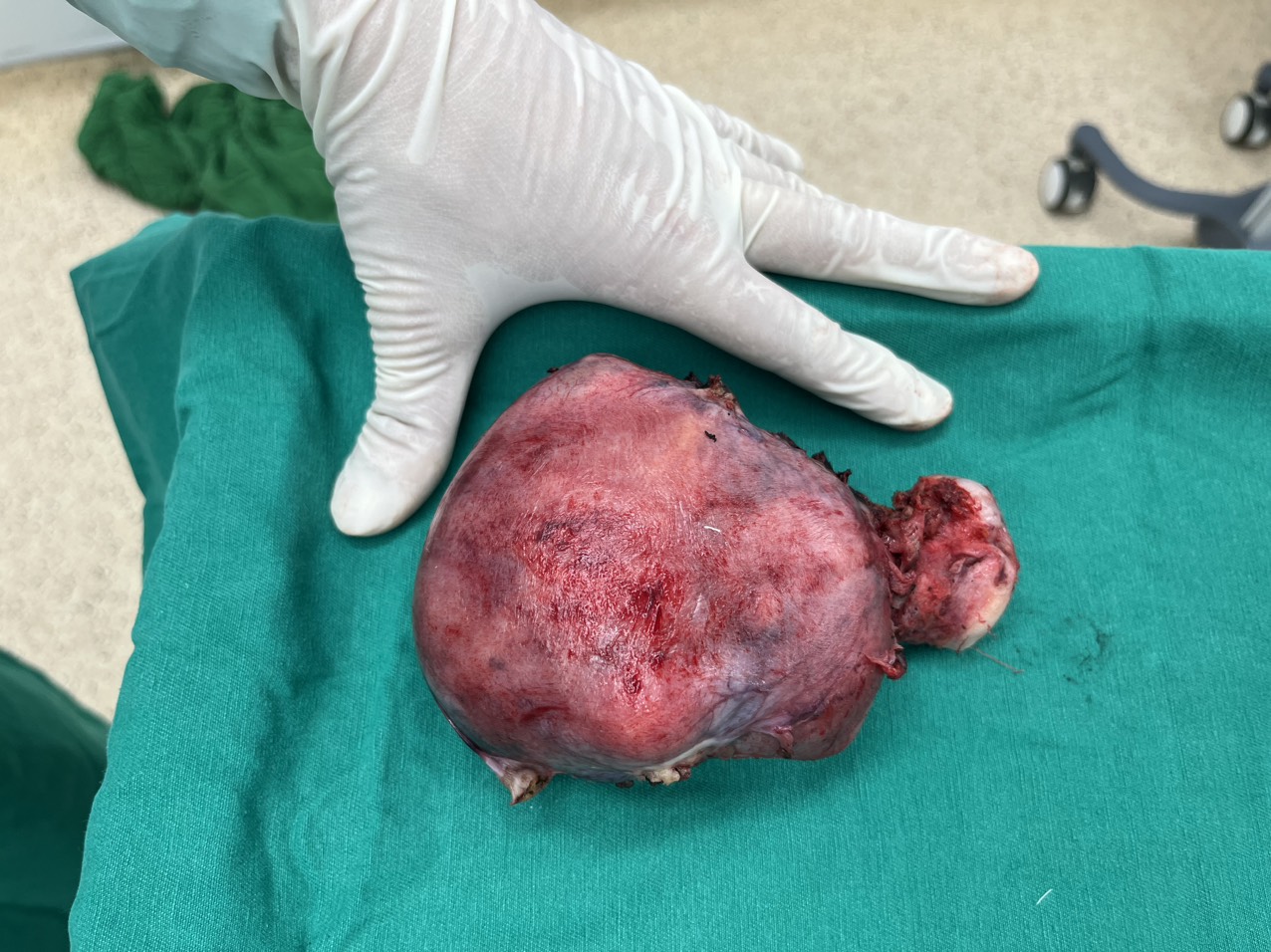 z5185017086832 a3d46e74e6d25e242ad9b12c93b16290